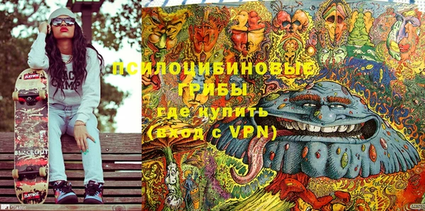 дурь Арсеньев