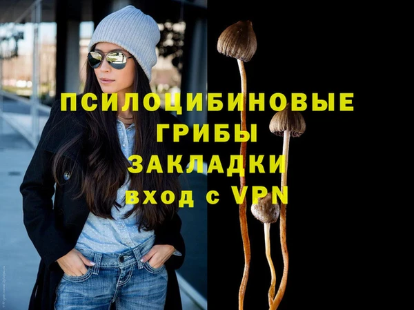 дурь Арсеньев