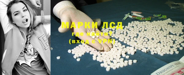 PSILOCYBIN Алзамай