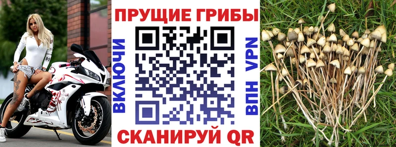Псилоцибиновые грибы MAGIC MUSHROOMS  Фролово 